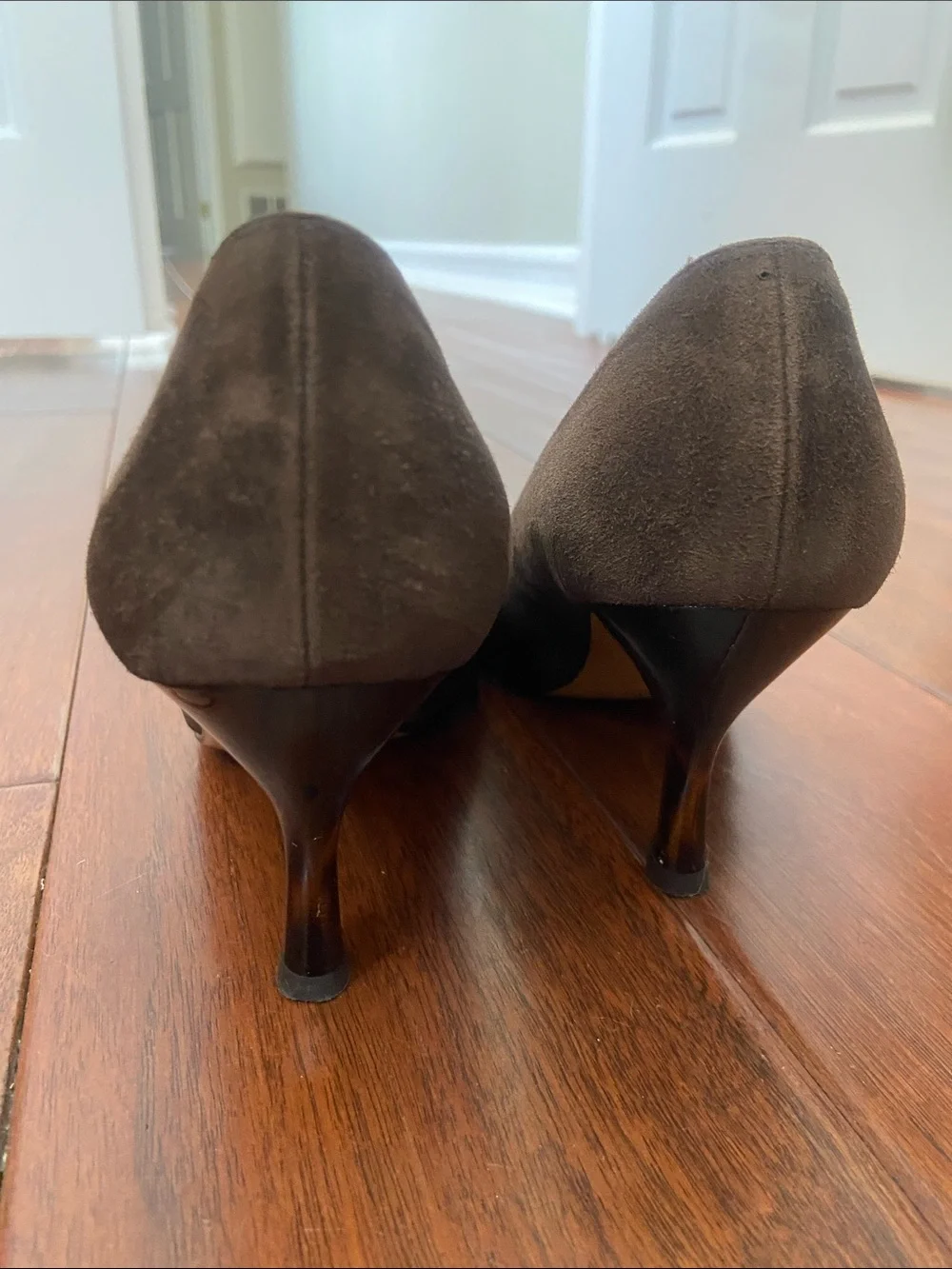 Salvatore Ferragamo Brown Suede Pumps with Lucite Heels